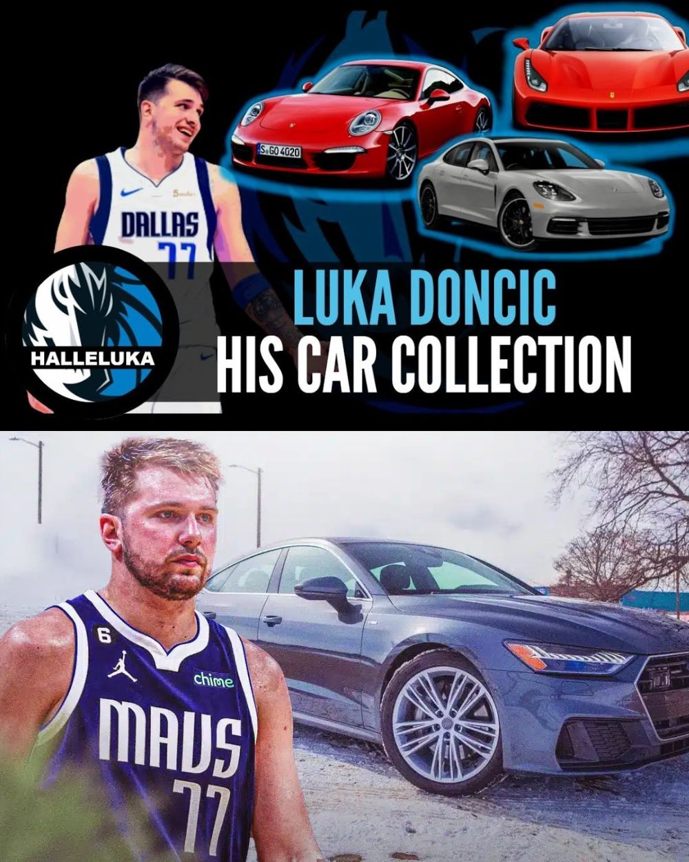 Con Miedo pero con Esperanza, una Perrita Rescatada Da su Primer Paso Hacia un Hogar Lleno de Amor