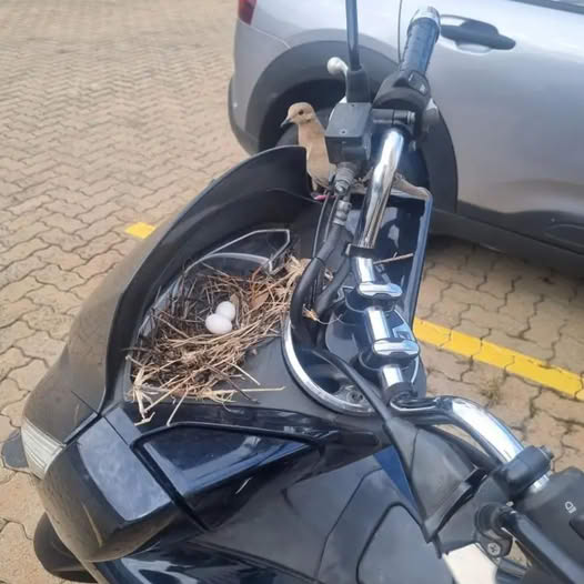 Kylian Mbappé Set for Triumphant Return—All Eyes on the Superstar Ahead of High-Stakes Madrid Derby