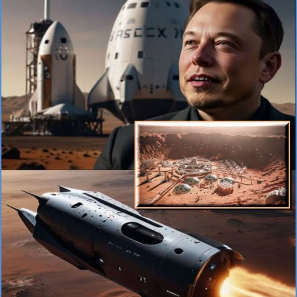 Con Solo 6 Meses, una Perrita Lucha por Vivir y Encuentra Esperanza Justo Cuando Todo Parecía Perdido