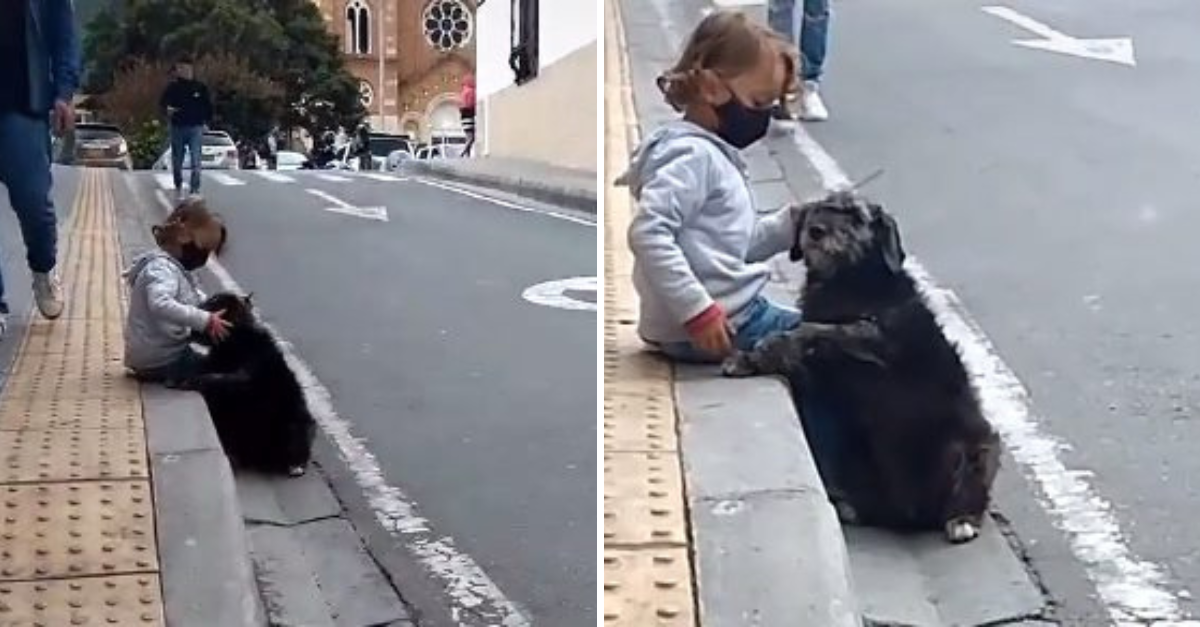 Fiel Compañera: Perrita Espera Cada Tarde con Ilusión a su Pequeño Dueño a la Salida de la Escuela
