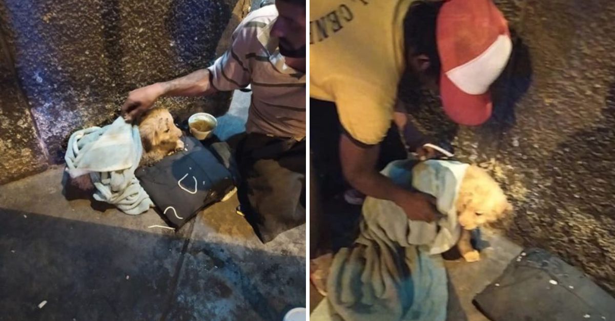 Un Hombre sin Hogar y una Perrita Abandonada: Una Historia de Lucha y un Llamado a la Solidaridad