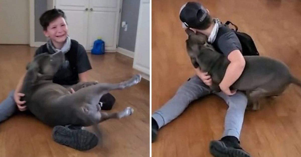 A Boy’s Tears of Joy: Reunited with His Long-Lost Dog, Proving Their Unbreakable Bond Stood the Test of Time