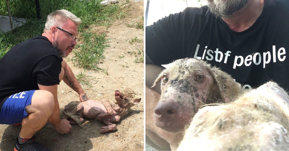 Milo lloraba adolorido, pero su ángel le dio esperanza al intentar levantarlo después de meses en la calle.
