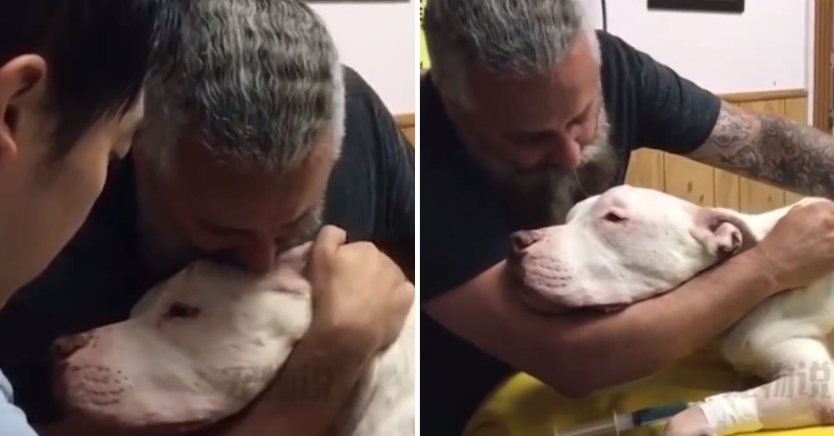 The tough man broke down in tears, unable to say goodbye to the dog he had shared 14 years with.
