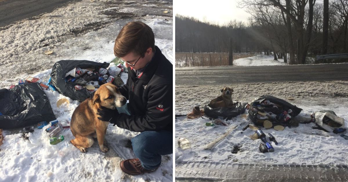 Conduciendo hacia lo desconocido, vieron moverse la basura… y al regresar, salvaron una vida que todos ignoraron.