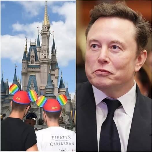 BREAKING NEWS: Elon Musk Blocks Disney’s Pride Content on X, Igniting Internet Firestorm Over Free Speech and Censorship 📰🔥