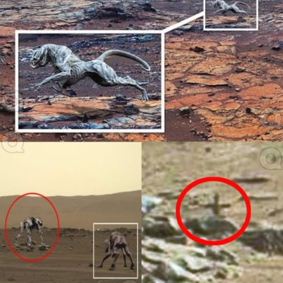 Mystery on Mars: Strange silhouette spotted—could this be evidence of extraterrestrial life