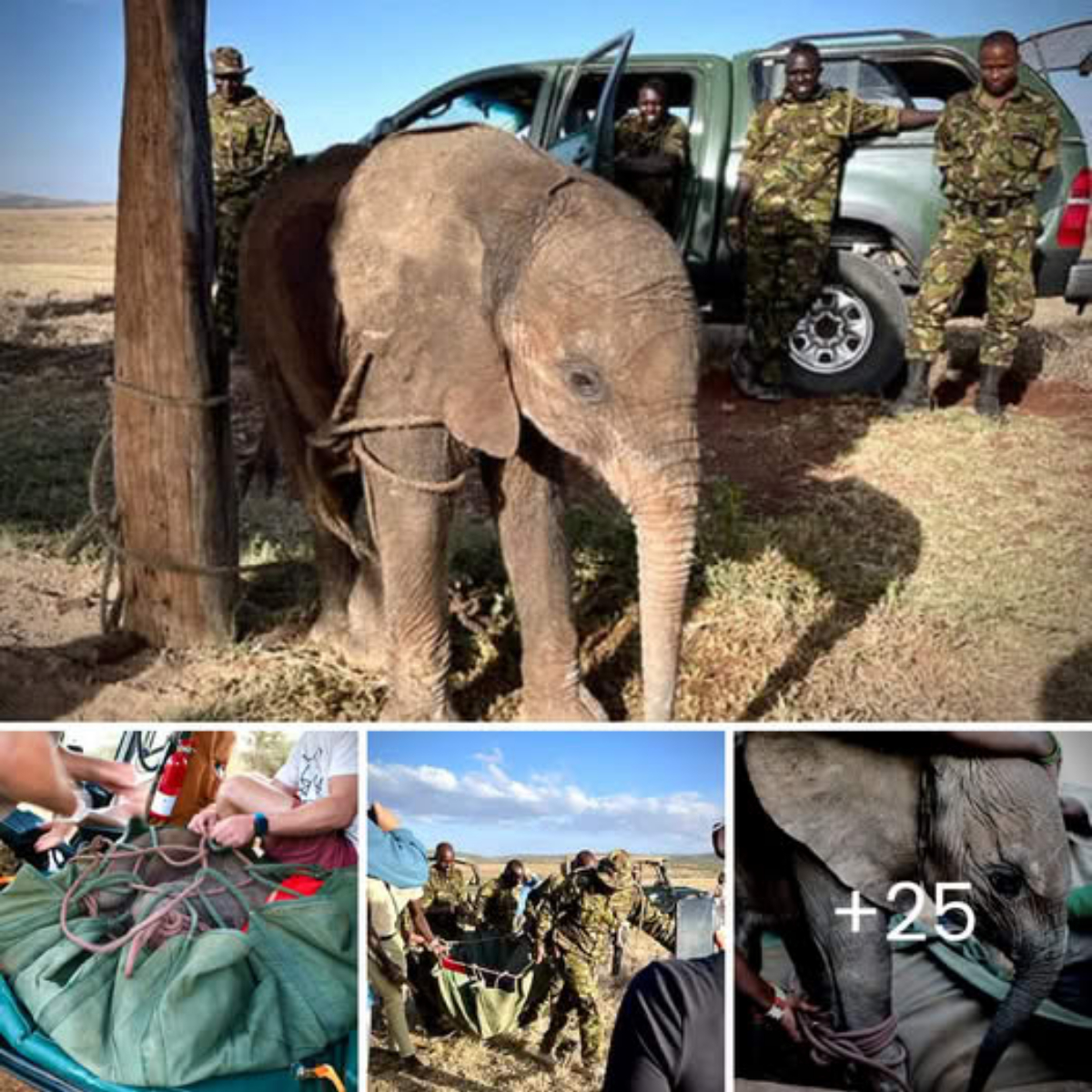 A Day Beyond Borders: Mokogodo’s Heartwarming Valentine’s Visit to Our Orphanage